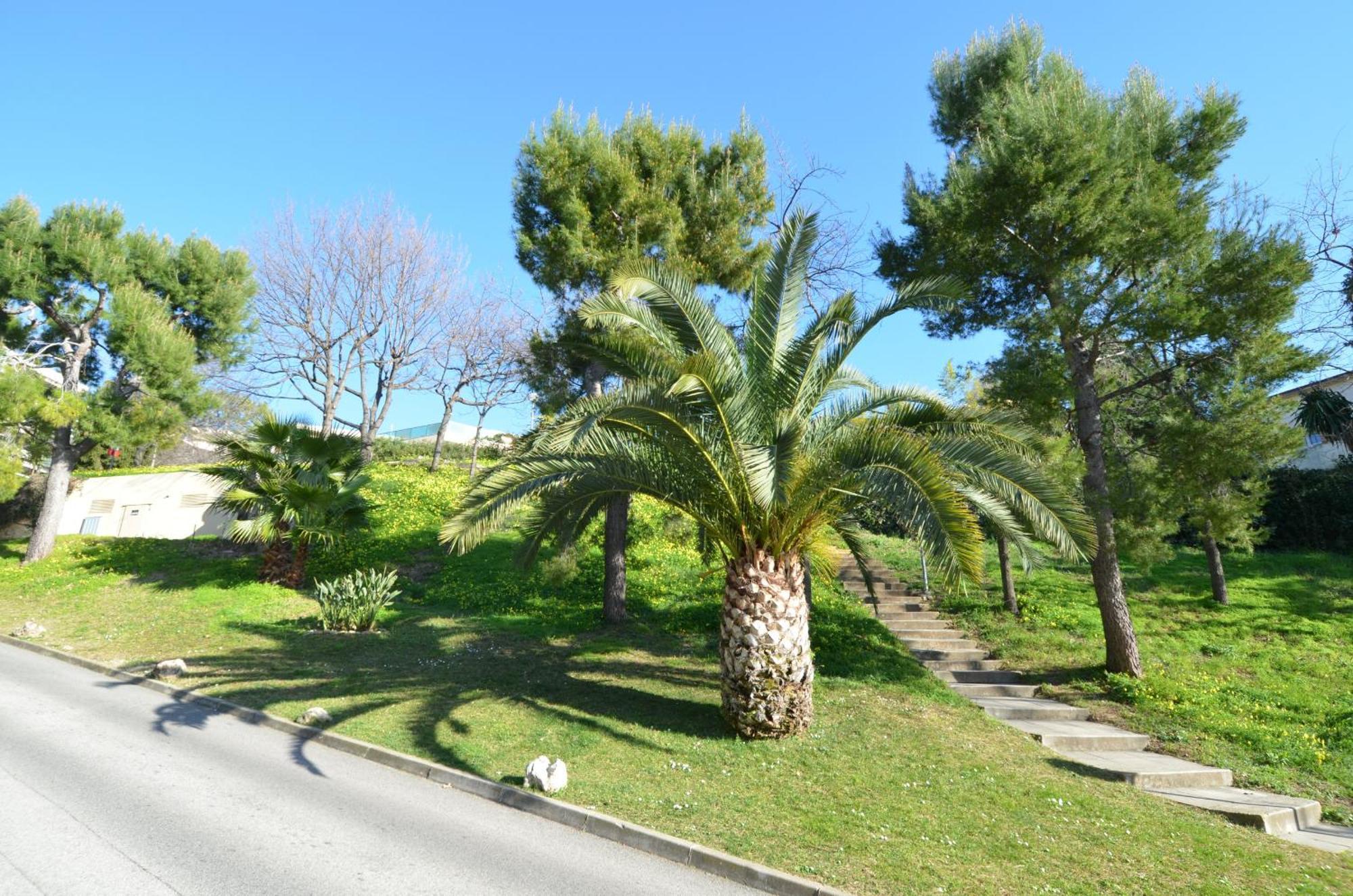 Plein Ciel - Appartement 5 Personnes Avec Piscine Sur La Corniche Fleurie A Nice Buitenkant foto